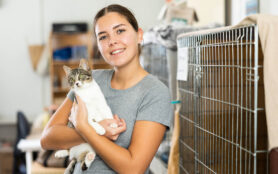 Happy,Caring,Young,Girl,Holding,Curious,White,And,Gray,Cat