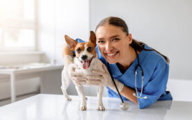 Smiling,Female,Veterinarian,In,Blue,Scrubs,Holding,And,Examining,Cheerful