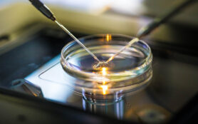 Artificial,Insemination,In,Vitro Fertilization,In,A,Laboratory