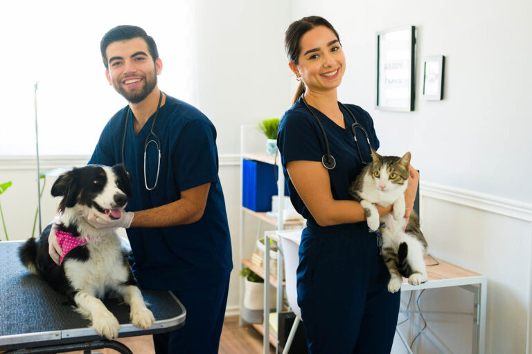 Hispanic,Young,Woman,And,Man,Working,As,Professional,Vets,And